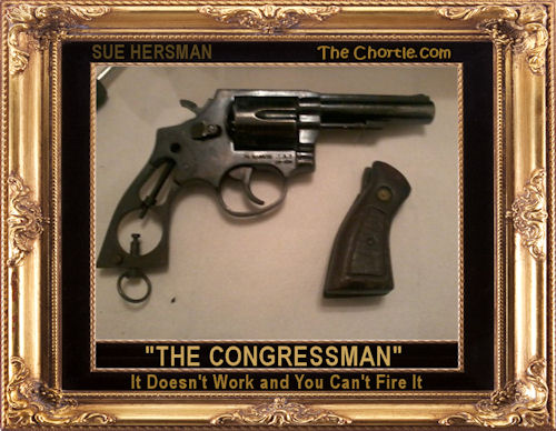 "The Congressman"  It doesn't work and you can't fire it