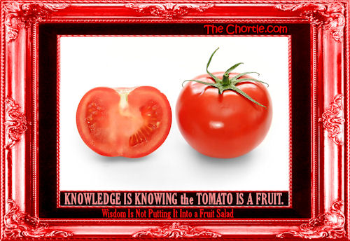 Knowledge is knowing the tomato is a fruit. Wisdom is not putting it on a fruit salad.