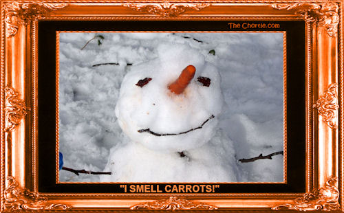 "I smell carrots!"