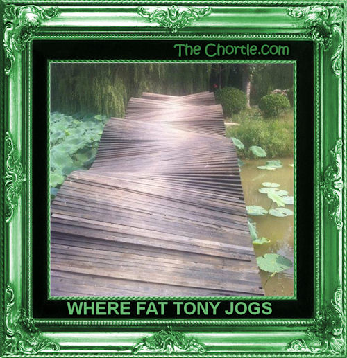 Where fat Tony jogs