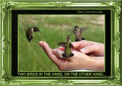 Two birds in the hand, on the other hand...