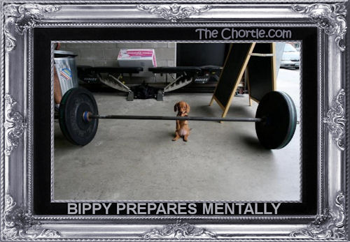 Bippy prepares mentally