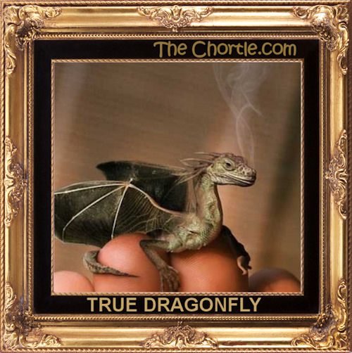 True dragonfly