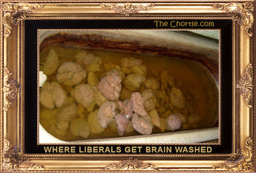 Where liberals get brain washed
