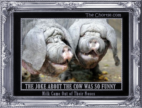 The joke about the cow was so funny, milk came out their noses