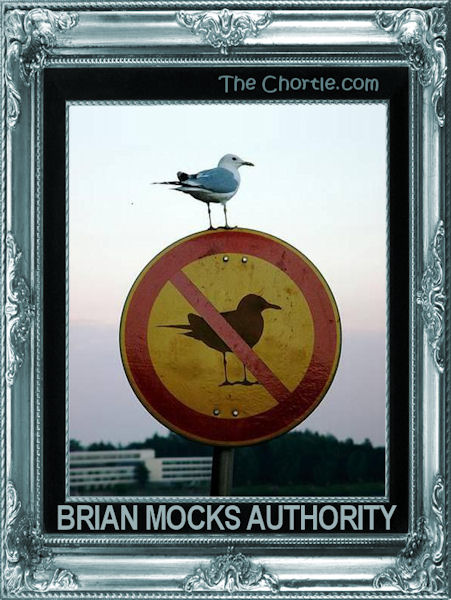 Brian mocks authority