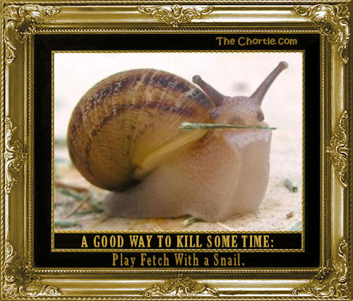 A good way to kill some time: play fetch with a snail