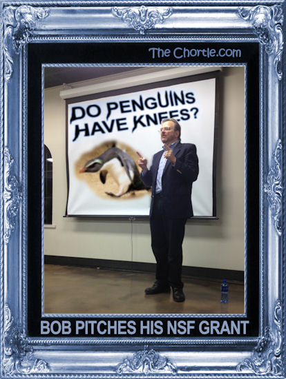 Bob pitches his NSF grant