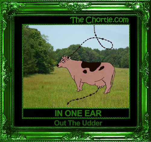 In one ear, out the udder