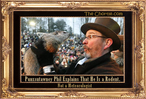 Punxutawney Phil explains he is a rodent - not a meteorologist