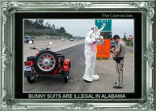 Bunny suits are illegal in Alabama