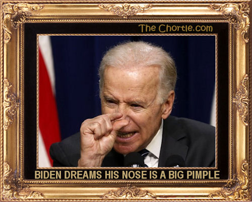 Biden remembers his nose is a big pimple.