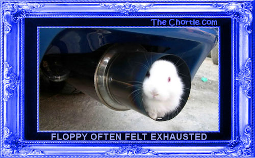 Floppy often felt exhausted