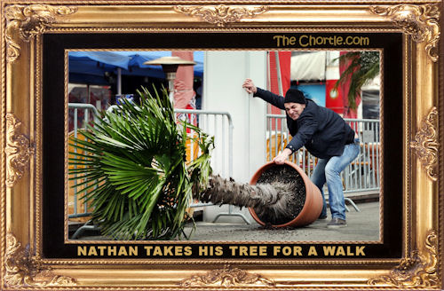 Nathan takes his tree for a walk