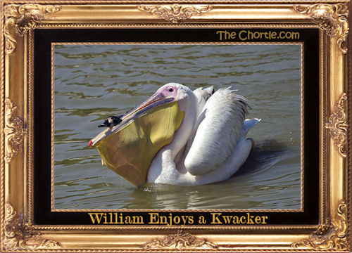 William enjoys a kwacker