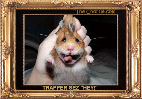 Trapper sez "hey!"