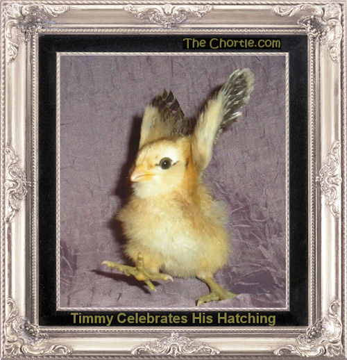 Timmy celebrates his hatching