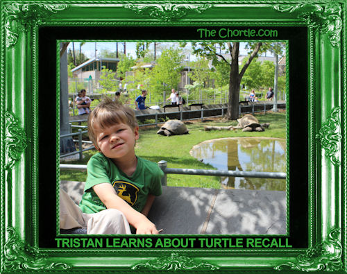 Tristan learns about turtle recall