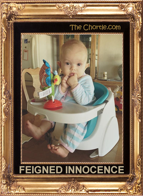 Feigned innocence