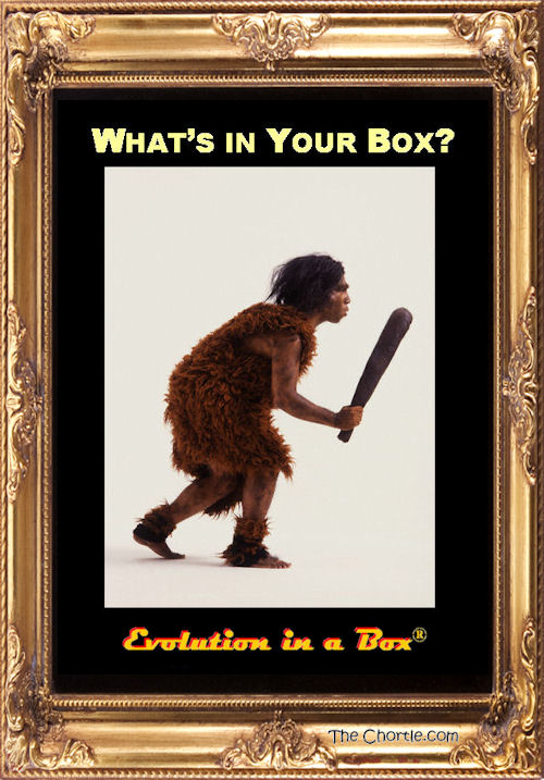 Evolution in a Box #5