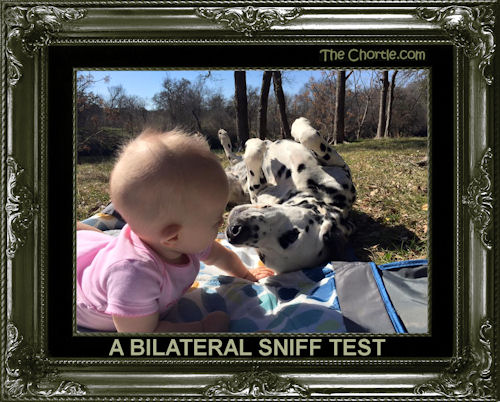A bilateral sniff test