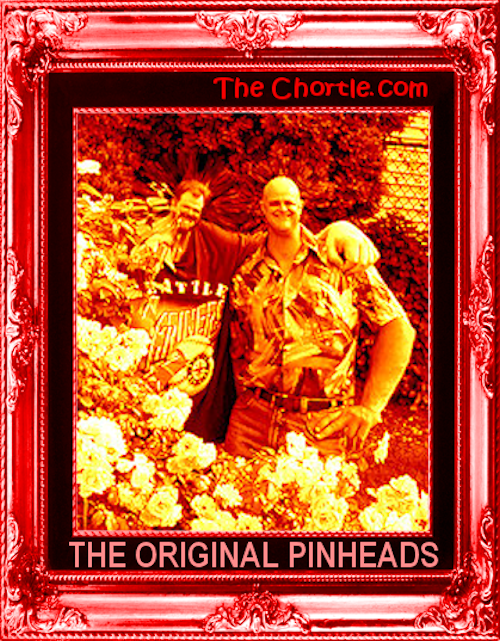 The original pinheads
