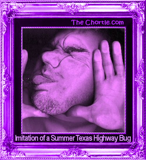 Imitation of a summer Texas highway bug