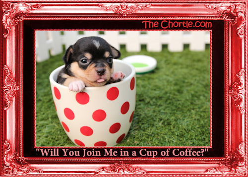 "Will you join me in a cup of coffee?"