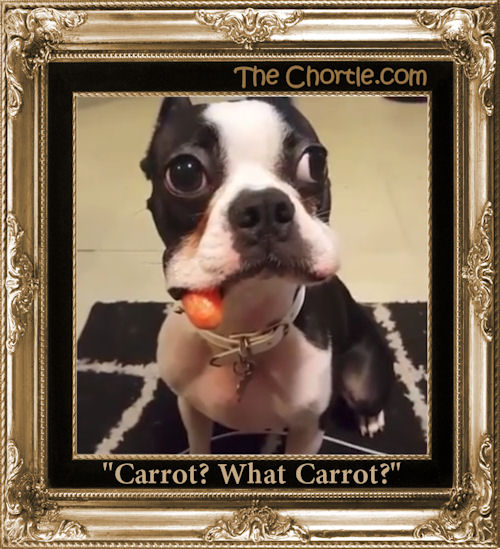 "Carrot? What Carrot?"