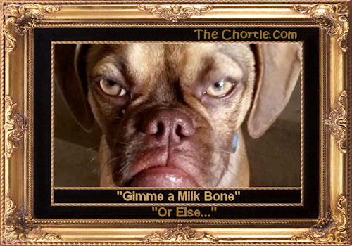 "Gimme a Milk Bone. Or else..."