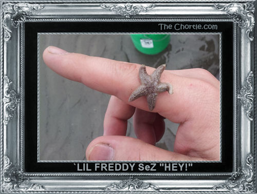 `Lil Freddy sez "hey!"