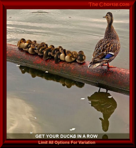 Get your ducks in a row. Limit all options for variation.