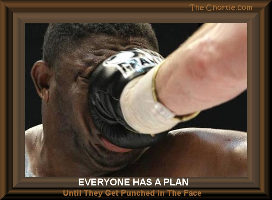 Everyone has a plan until they get punched in the face