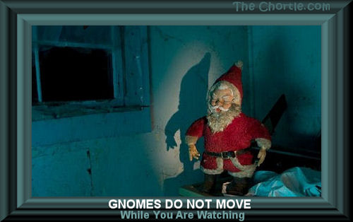 Gnomes do not move while you are watching.