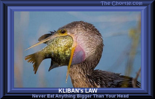 Kliban' law. Never eat anything bigger than your head.