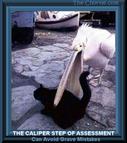 The caliper step of assessment can avoid grave mistakes.
