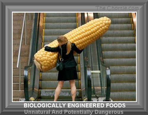 Biologically engineered foods. Unnatural and potentially dangerous.