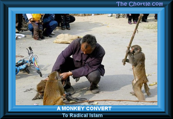 A monkey convert to radical Islam