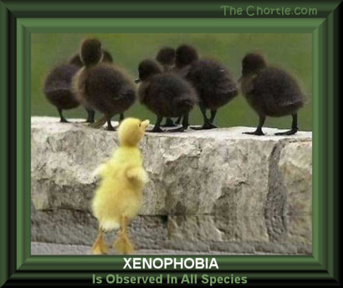 Xenophobia is observed in all species 