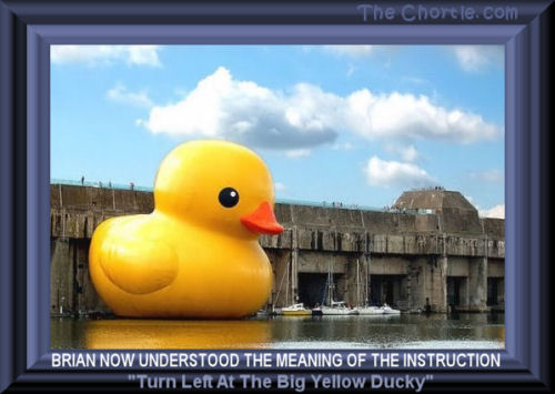 Brian now understood the meaning of the instruction "Turn left at the big yellow ducky"
