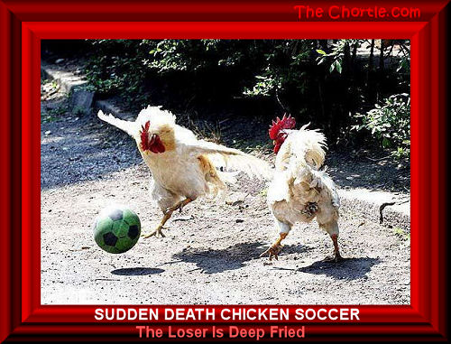 Sudden death chicken soccer. The loser is deep fried.