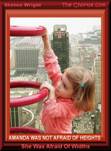 Amanda was not afraid of heights. She was afraid of widths - Steven Wright 