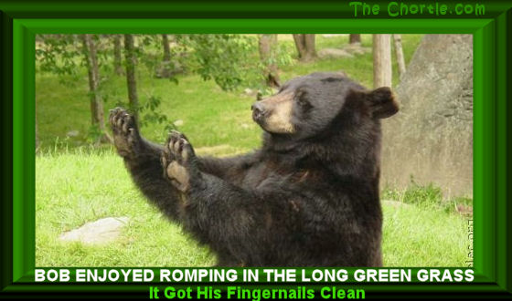 Bob enjoyed romping in the long green. It got his fingernails clean.