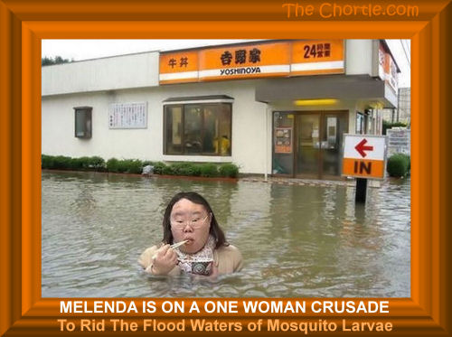 Melenda is on a one woman crusade to rid the flood waters of mosquito larvae
