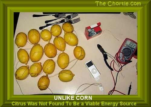 Unlike corn, citrus was not found to be a viable energy source