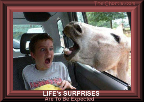 Life's surprises are to be expected. 