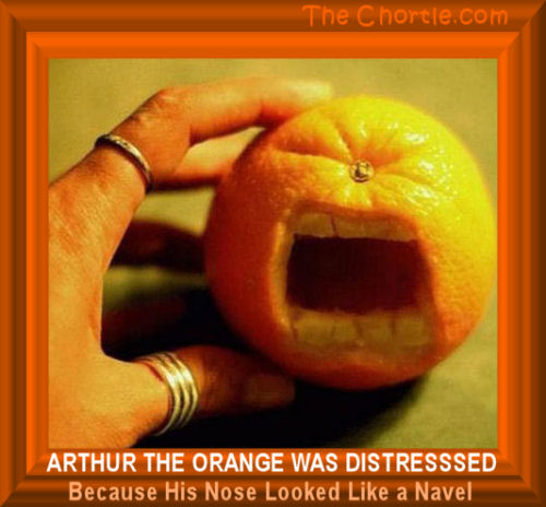 Arthur the orange was distressed because his nose looked like a navel.
