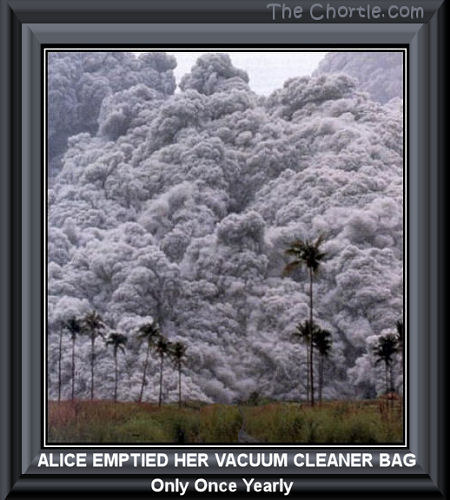 Alice emptied her vacuum cleaner bag only one yearly