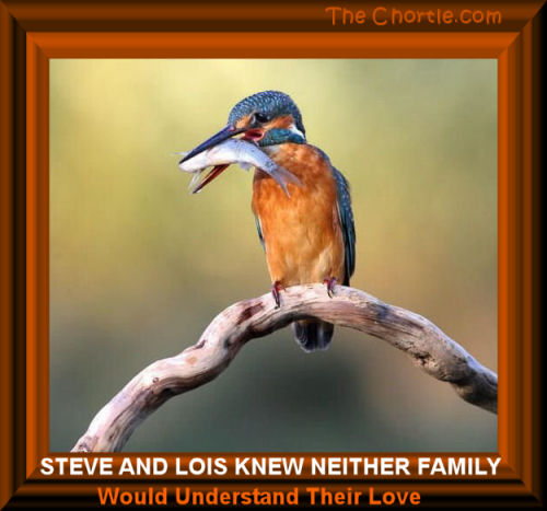 Steve and Lois knew neither family would understand their love