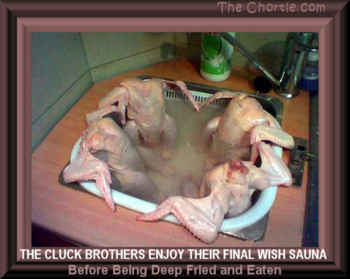 The Cluck brothers enjoy their final wish sauna before being deep fried and eaten.
